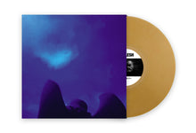 Load image into Gallery viewer, GODFLESH LONG LIVE THE NEW FLESH 4LP gold box set / gold vinyl REPRESS
