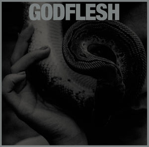 Godflesh Purge LP black vinyl | CD
