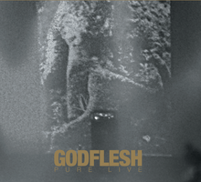 Load image into Gallery viewer, Godflesh - &#39;Pure : Live&#39; Digipack CD | 2LP on gold vinyl | Test pressing

